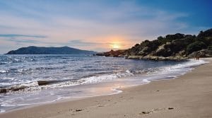 découvrez le parcours inspirant de christelle rocchi, jeune espoir du triathlon montaubanais, déterminée à réaliser son rêve ultime dans cette discipline exigeante.